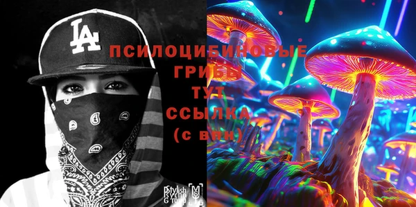 прущие крисы Алзамай