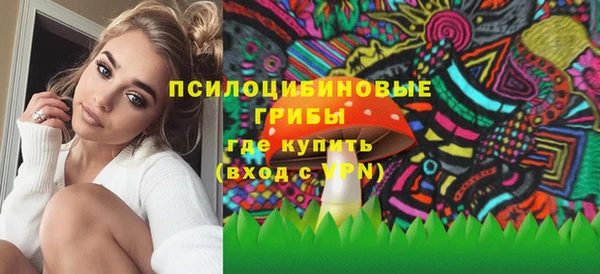 шишки Алексин