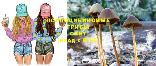 шишки Алексин