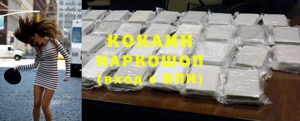 шишки Алексин