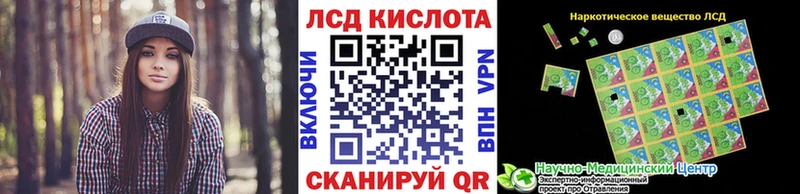 даркнет сайт mega ONION Марки N-bome 1500мкг Петропавловск-Камчатский